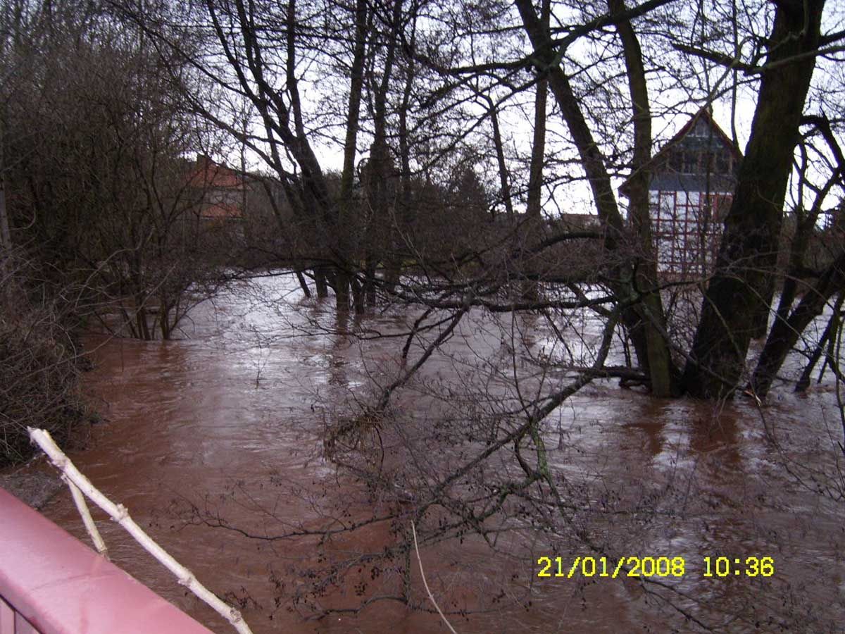 Fluss tritt über die Ufer und überflutet Wiese mit Haus und Bäumen im Hintergrund