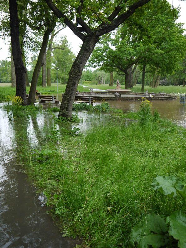 teilüberschwemmter Park mit Steinbrunnen und Bäumen im Hintergrund